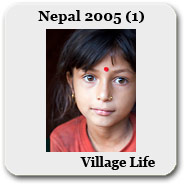 �l�p�[��2005�i1�j�@�R���̕�炵