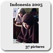 �C���h�l�V�A 2004