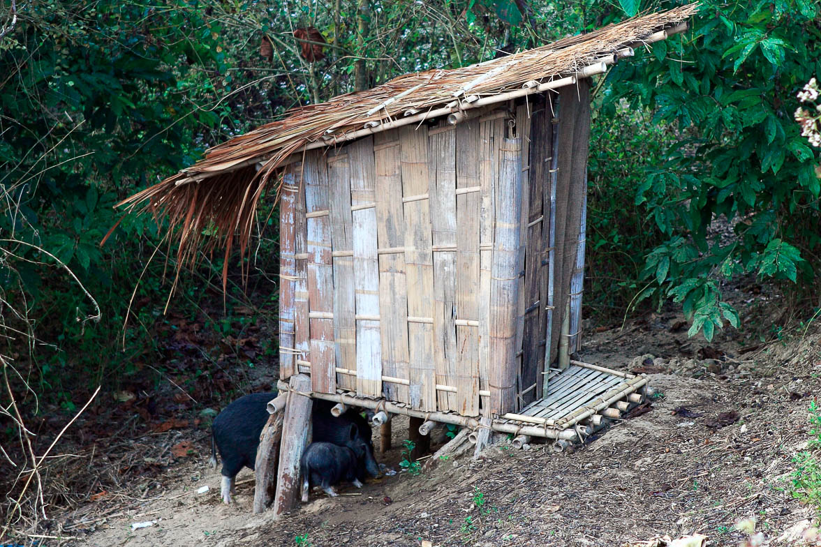 バングラデシュ旅行記（29） トイレは竹やりと共に